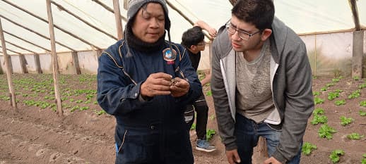 Trabajo técnico en CECAP Don Bosco