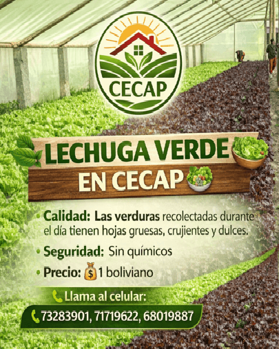 Productos derivados de cereales
