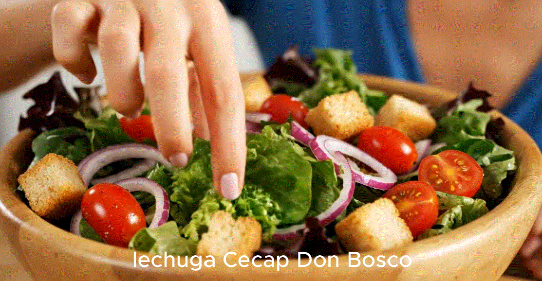 Ensalada con lechuga CECAP Don Bosco