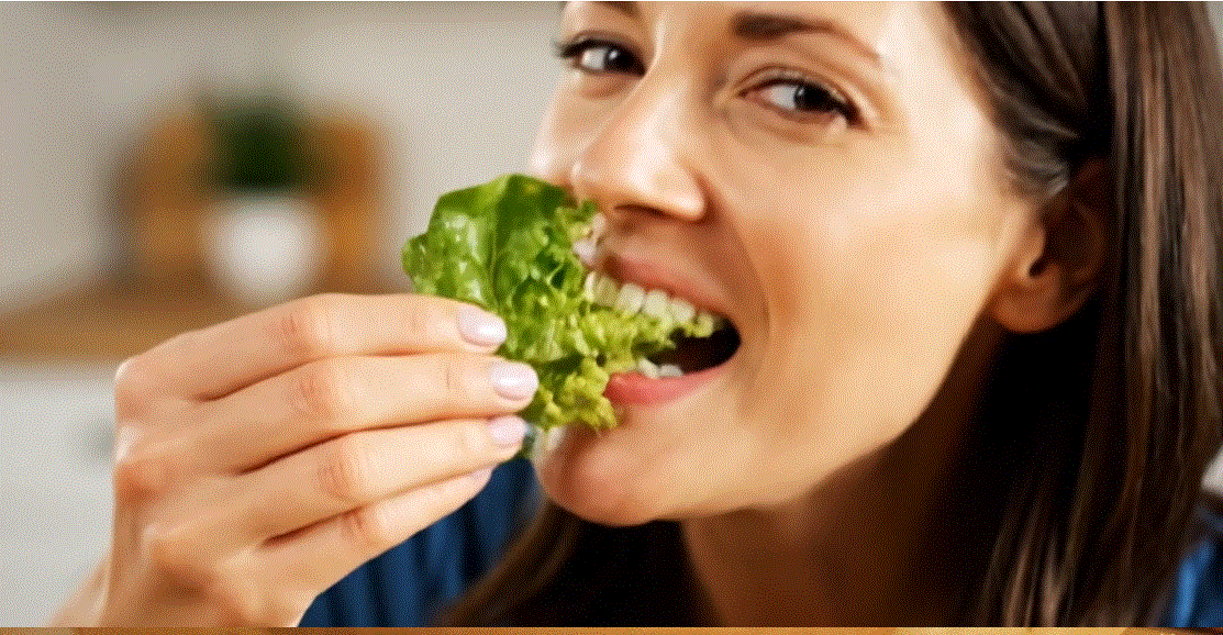 Lechuga fresca CECAP Don Bosco